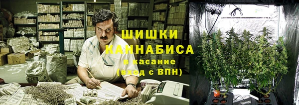 альфа пвп Медвежьегорск